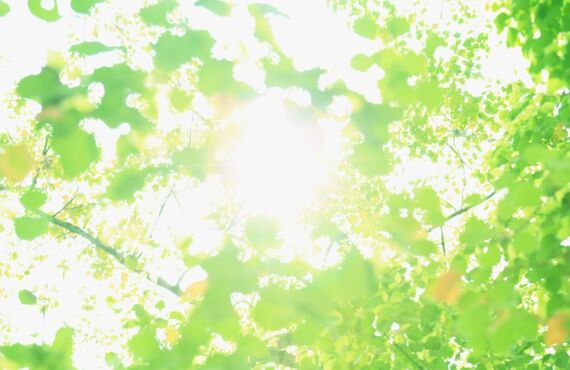 抗ウィルス、抗菌、除菌は私たちにお任せください！